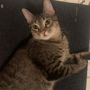 Meet your Posher, Christina